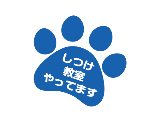 しつけ教室へ